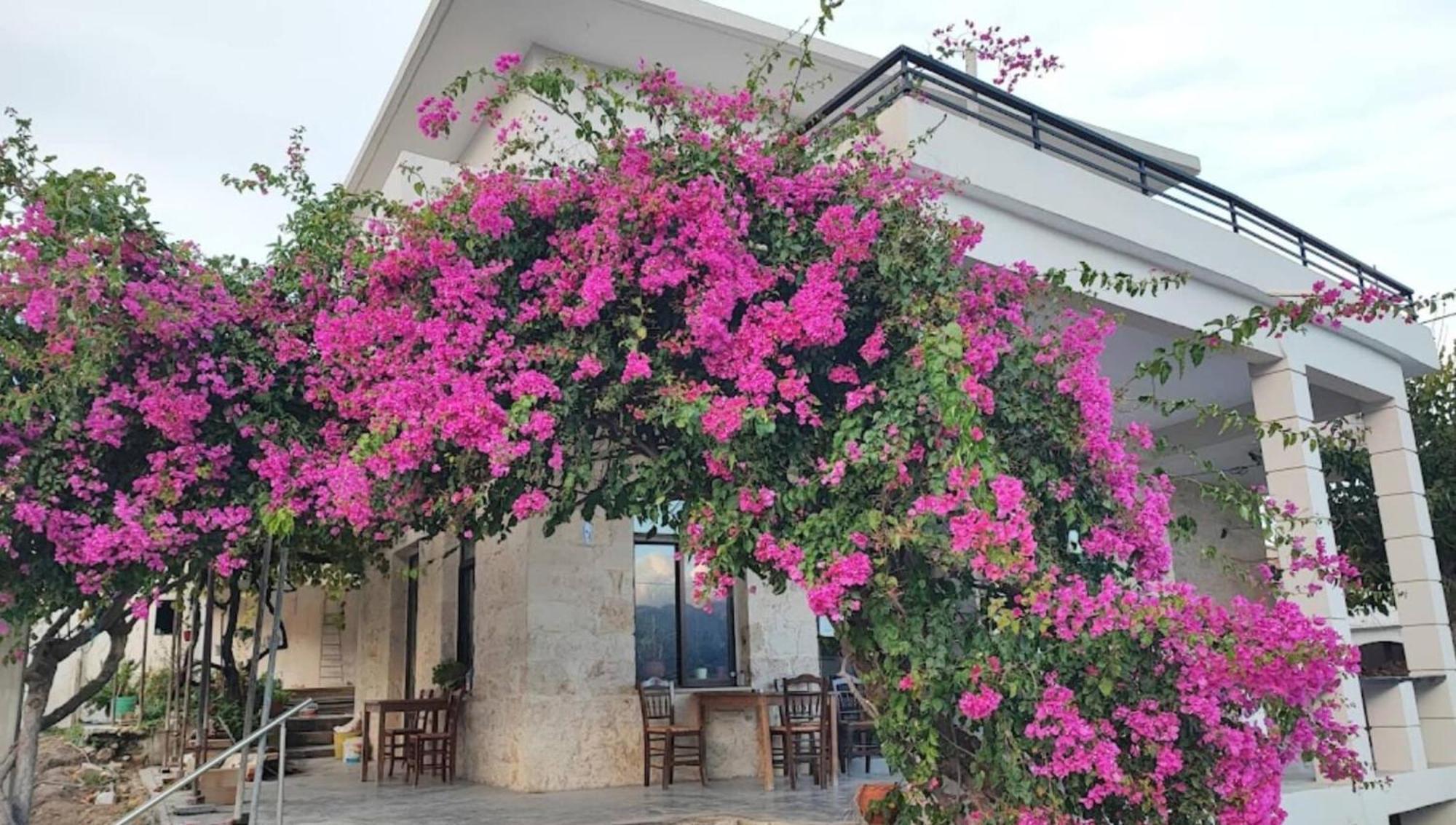 Glikanisos House Nipos - Ideal For Hikers And Families 2Bd, 6Pl 10Min To Beach Eksteriør bilde